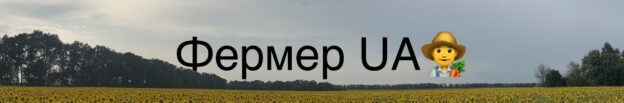 channels4 banner