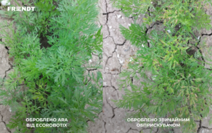 ara carrot site