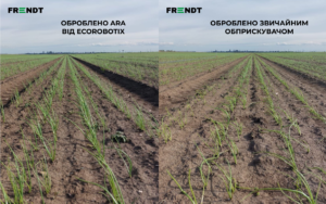 ara onion site